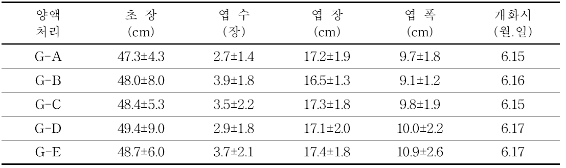 T3 구근의 정식 후 생육 특성 조사