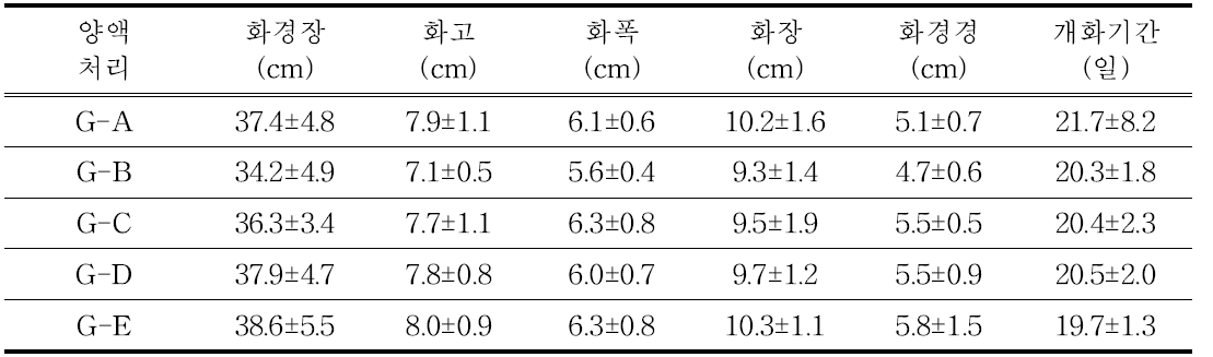 T3 구근의 개화 특성 조사