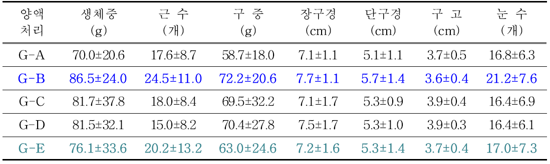 T3 수확 후 구근 특성 조사