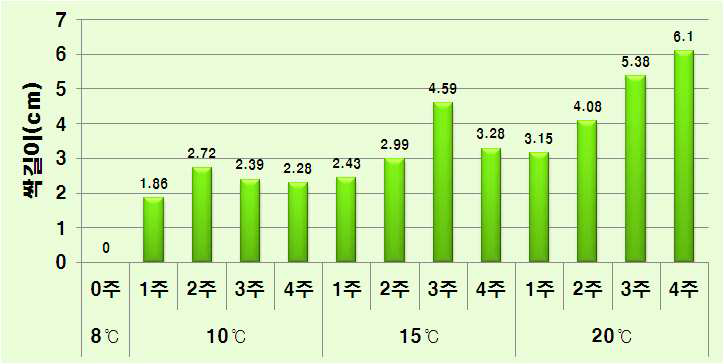 ‘골든하트’ 조직배양 소구(T1)의 온도처리에 따른 싹 길이 변화