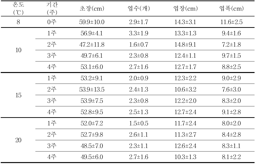 ‘골근하트’ 품종 대구(T2)의 생육 특성 조사