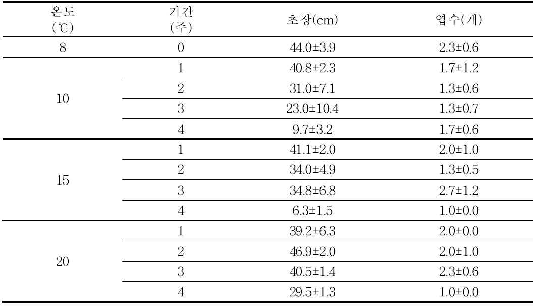 ‘골든하트’ 품종의 싹틔우기 온도와 기간에 따른 생육 특성