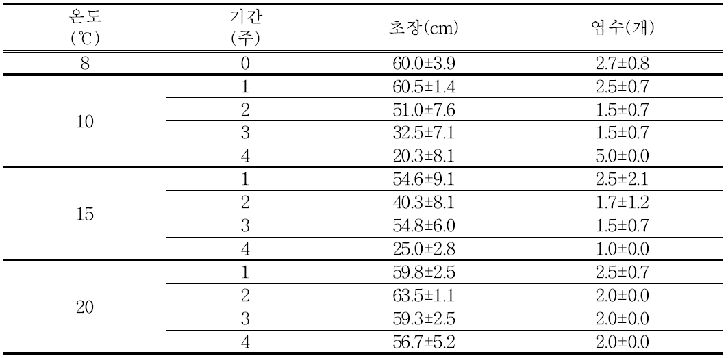 유색칼라 ‘립글로’ 구근(T3) 싹틔우기 처리 생육 특성