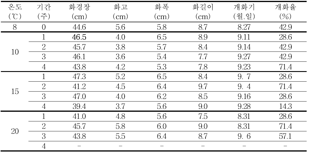 유색칼라 ‘립글로’ 구근(T2~T3) 싹틔우기 처리의 개화 특성