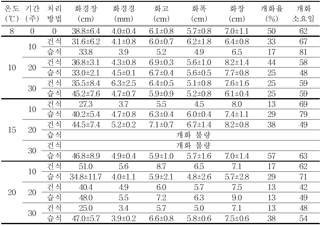 유색칼라 ‘골든하트’ 구근(T3) 싹틔우기 처리 개화 특성