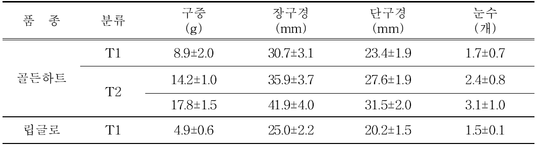 생장조정제 처리 정식전 구근 특성