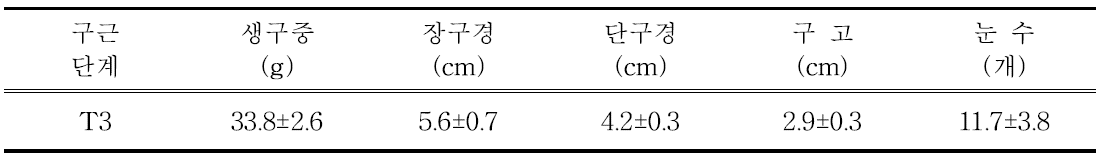 유색칼라 ‘골든하트’ 정식 전 구근소질