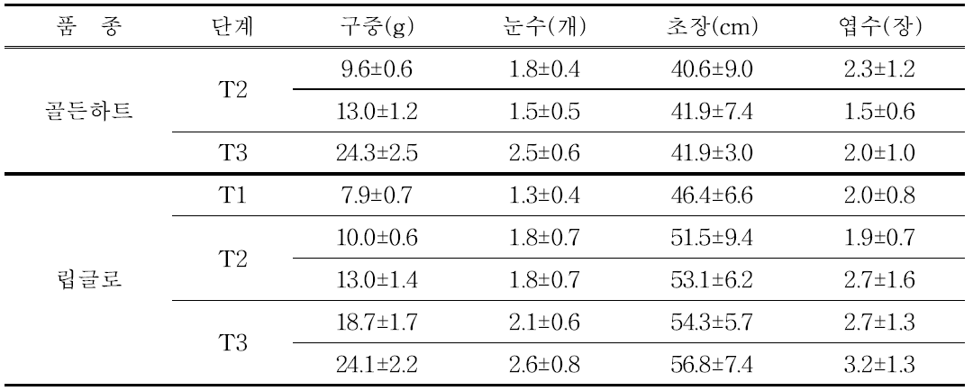 골든하트 및 립글로 품종의 구근 단계별 생육 특성