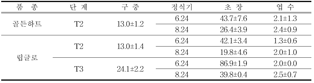 골든하트 및 립글로 품종의 정식 시기별 생육 특성