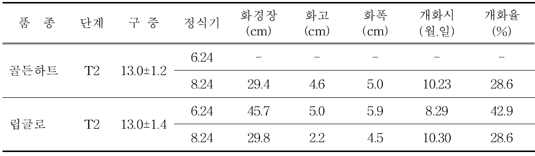 골든하트 및 립글로 품종의 정식 시기별 개화 특성