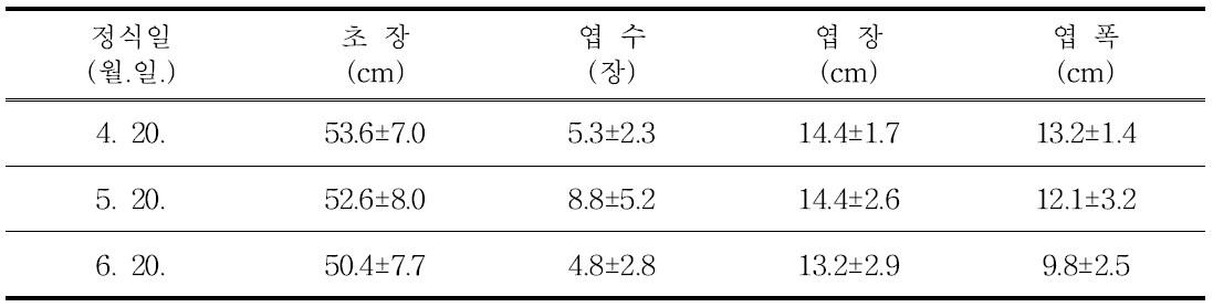 ‘골든하트’ 품종의 정식 시기에 따른 생육 특성