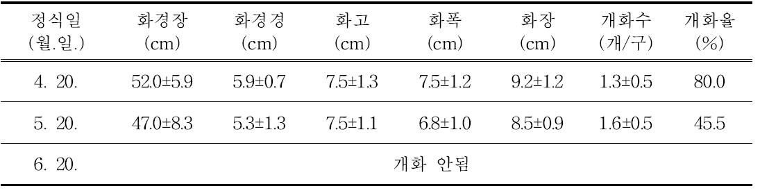 ‘골든하트’ 품종의 정식 시기에 따른 개화 특성