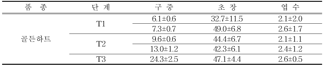 골든하트 품종의 양액 흡수 양상 분석 시험구의 생육 특성