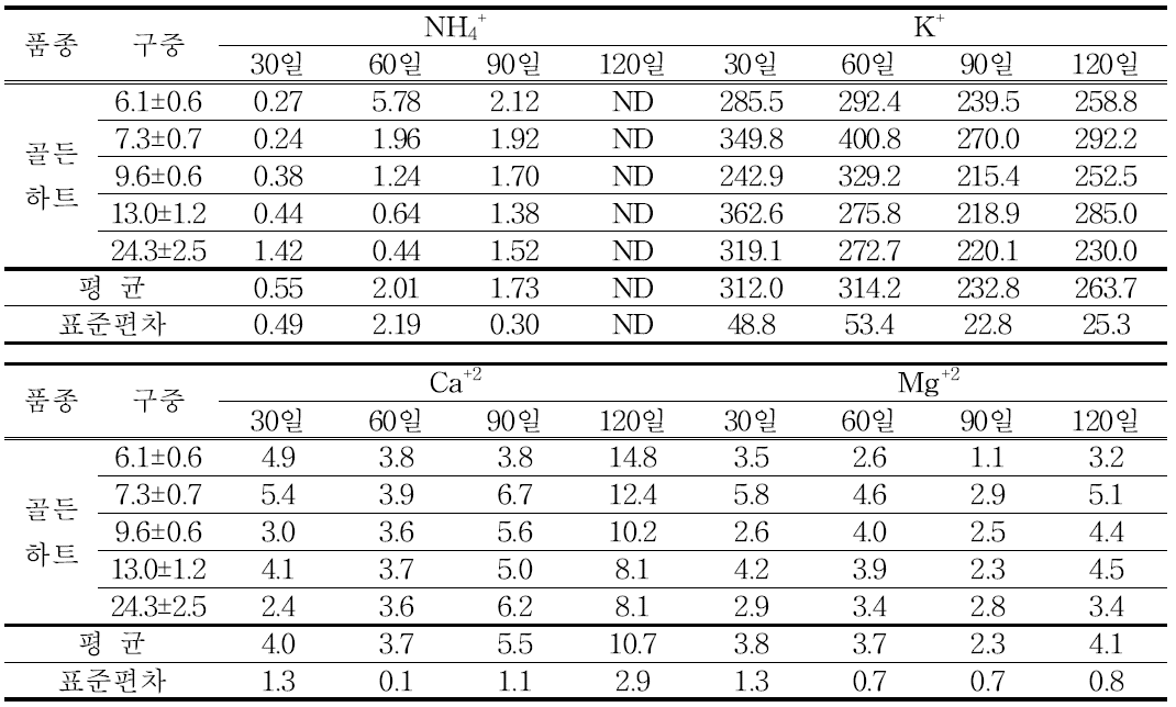 골든하트 품종의 시기에 따른 양이온 함량 변화