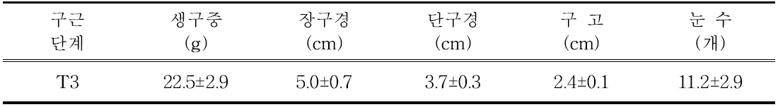 유색칼라 ‘립글로’ 정식 전 구근소질