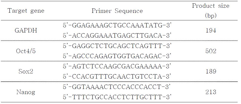 줄기세포의 프라이머 서열