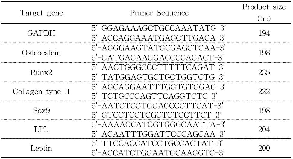 adipocyte, osteocyte와 chondrocyte 마커의 프라이머 서열