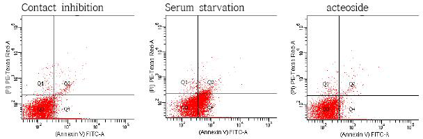 Distributions of apoptosis, necrosis and viability of canine fetal fibroblast. Q1, necrosis; Q2, late-apoptosis; Q3, live cell; Q4, early-apoptosis.