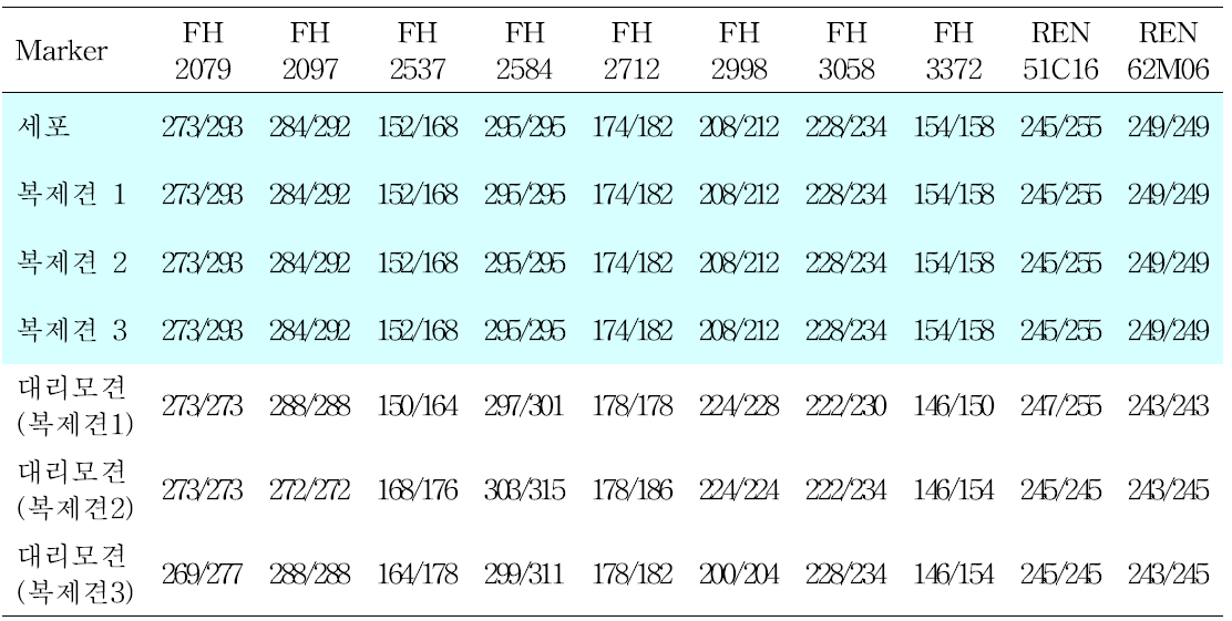 The comparison results of MS between donor cell and puppies.