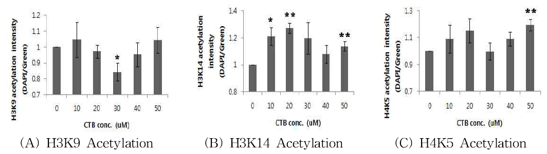 Histone acetylation levels of different CTB treatment concentration