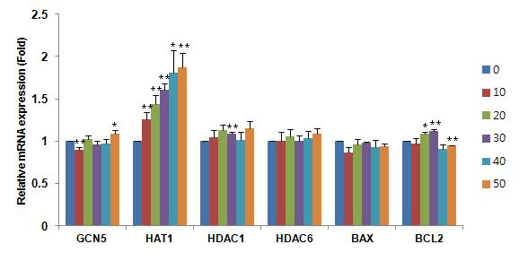 Gene expresstion of histone acetylation and apoptosis related in different CTB treatment concentration