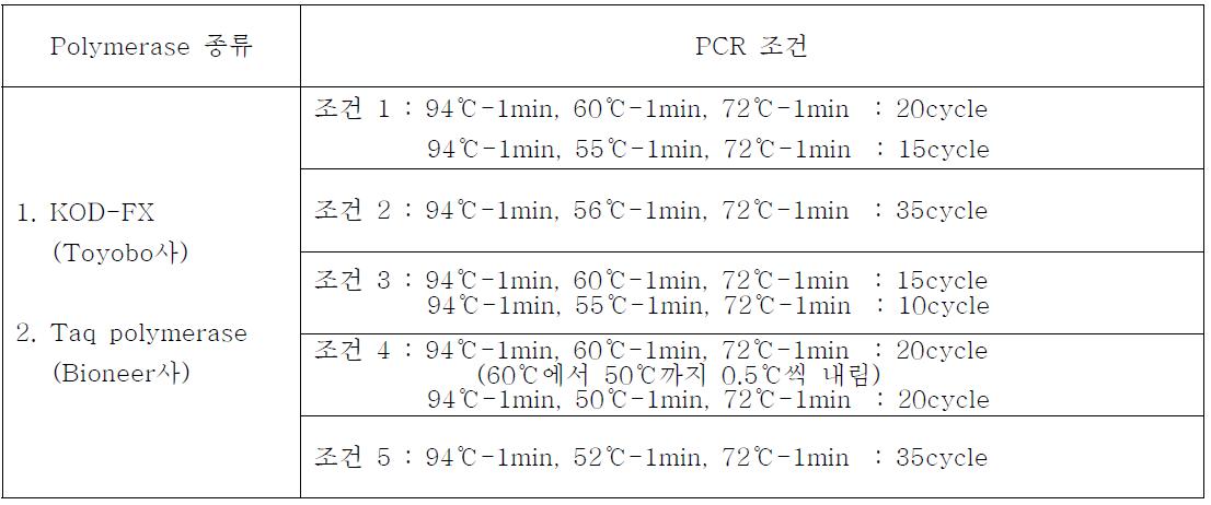 Direct PCR 조건 확립을 위한 polymerase 종류 및 PCR 조건