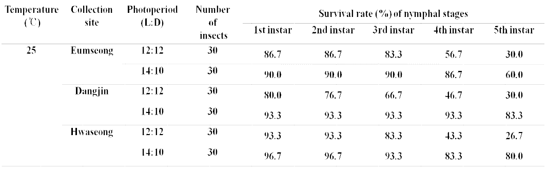 광주기가 다른 조건에서 미국선녀벌레 약충 발육단계별 생존율(무궁화 삽목, 2014)