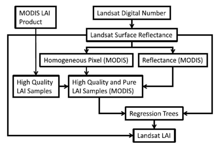 MODIS LAI를 활용한 Landsat LAI 추정 흐름도