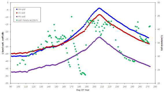 L-밴드 후방산란계수와 토양수분함량 변화