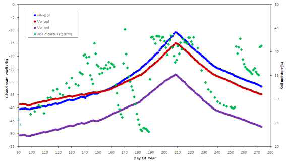 C-밴드 후방산란계수와 토양수분함량 변화