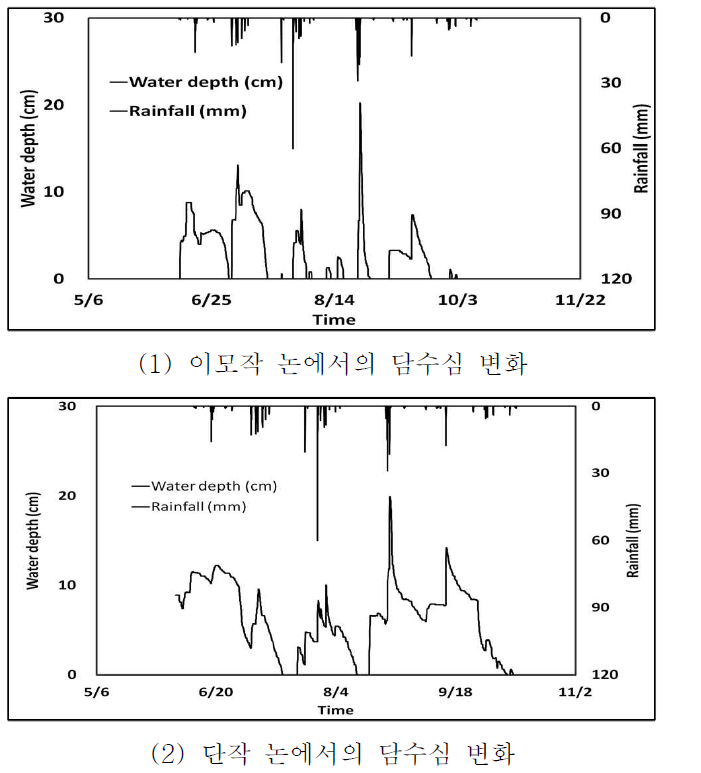 2013년 연구포장 논 수위 변화