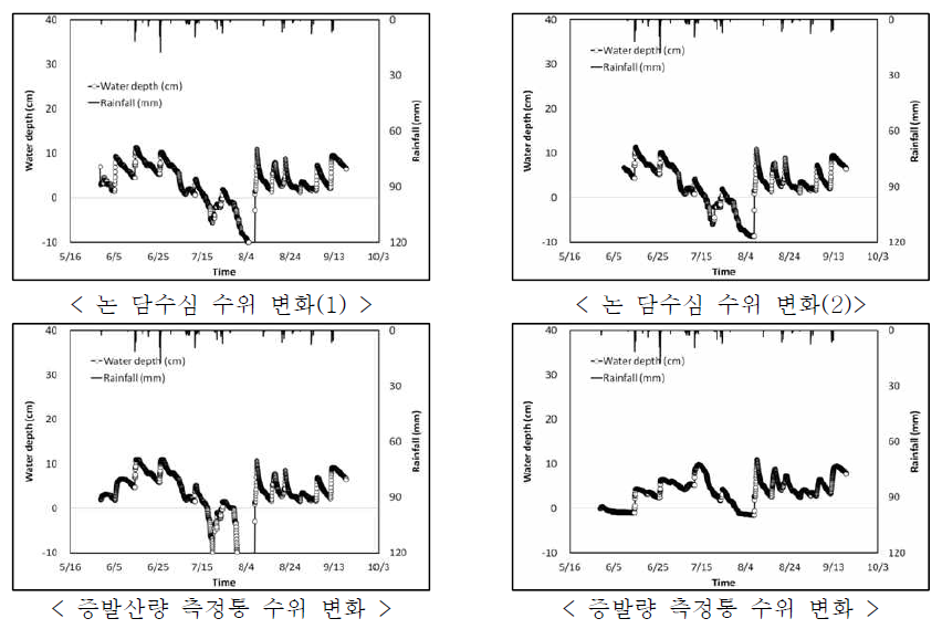 2015년 연구포장 논 수위 변화