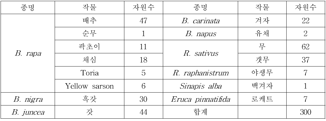 배추과 유전자원 시험재료 300자원