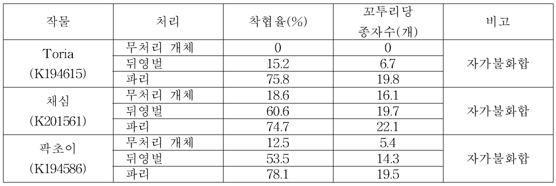 배추과 작물에서 파리와 뒤영벌 수분 효과