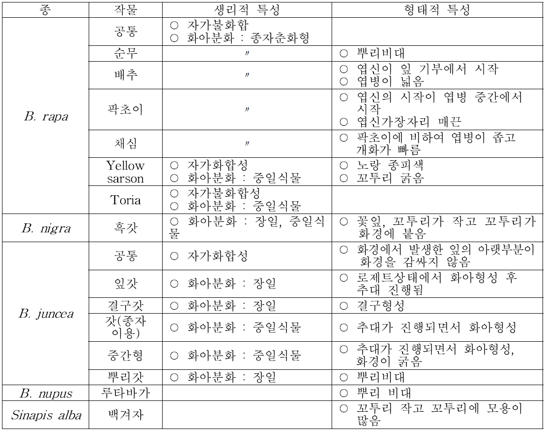 배추과 작물의 주요 형태적 특성