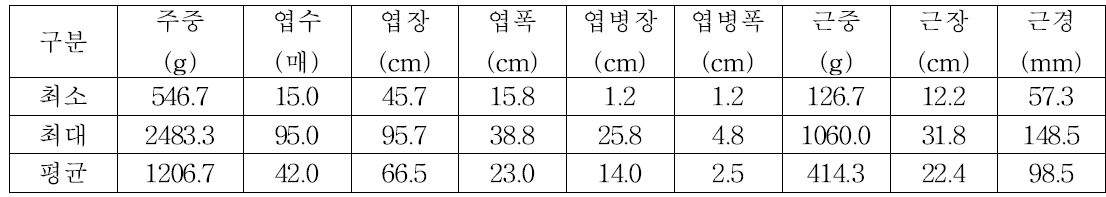 순무 유전자원의 주요 농업형질 기초통계