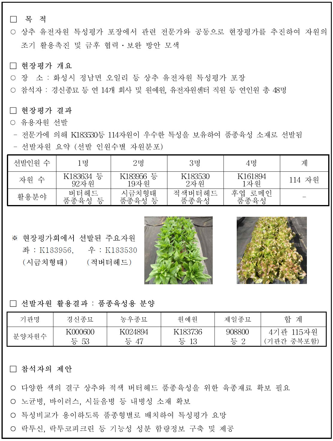 상추 유전자원 현장 평가회 개최결과