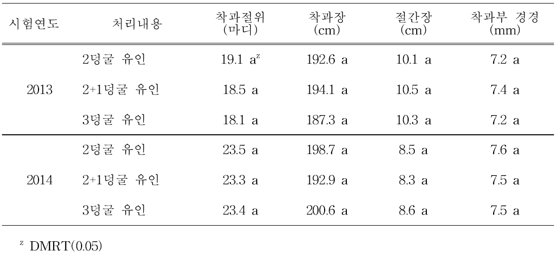 덩굴유인방법 변화에 따른 착과 및 덩굴특성