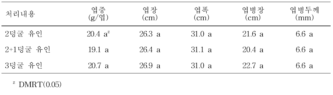 덩굴유인방법 변화에 따른 엽 특성(2014년도)