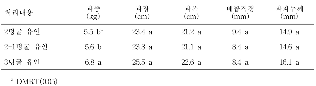 덩굴유인방법에 따른 과실 특성(2013년도)