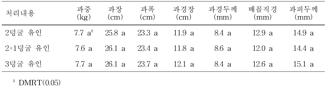 덩굴유인방법에 따른 과실 특성(2014년도)