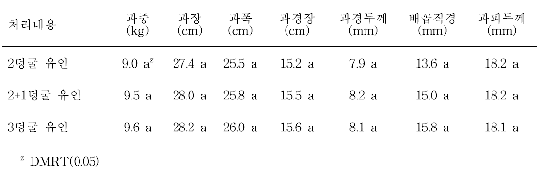 덩굴유인방법에 따른 과실 특성(2015년도)