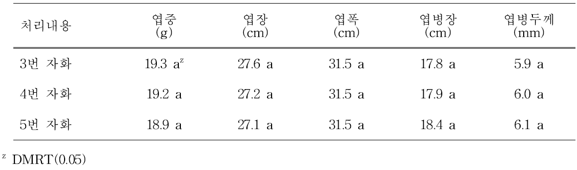 착과절위에 따른 엽 특성