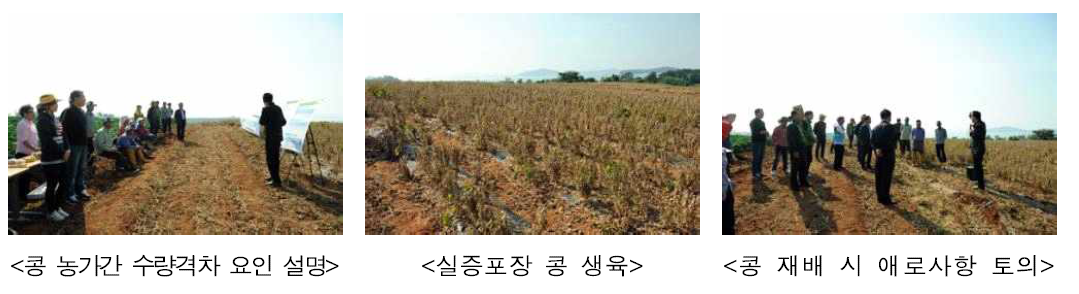 Photos of farmer’s field experiments.