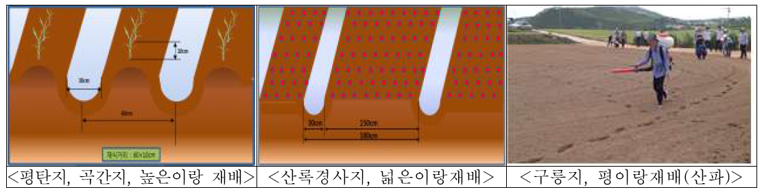 조 재배 주산단지의 입지조건에 따른 재배양식 모식도