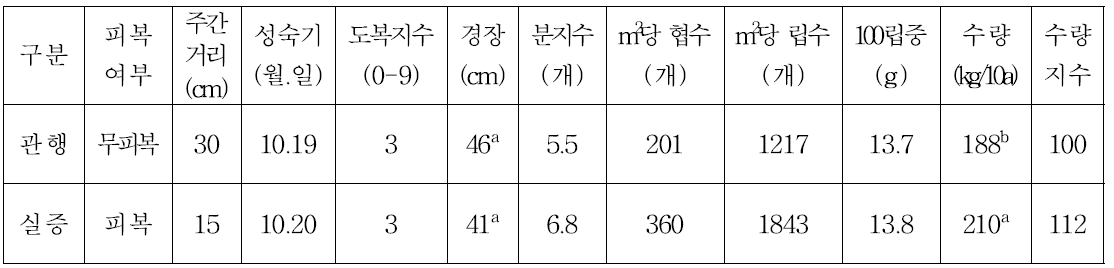 잡초방제를 위한 비닐피복(천안, 아라리, 7월 10일 파종)