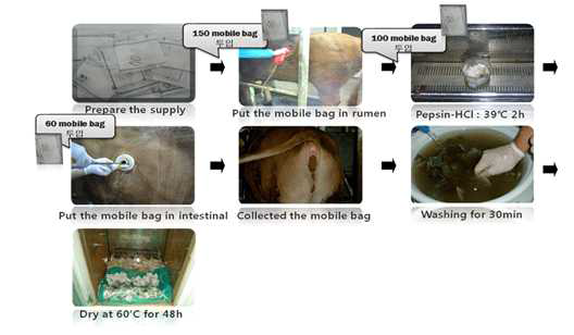 Experimental procedure of in situ mobile bag method.