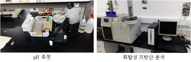 pH 측정 및 휘발성 지방산 분석