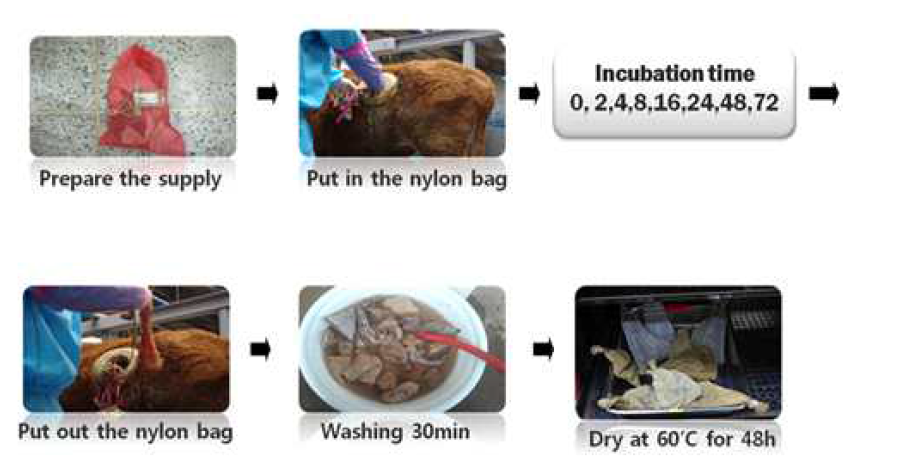 Experimental procedure of in situ nylon bag method.