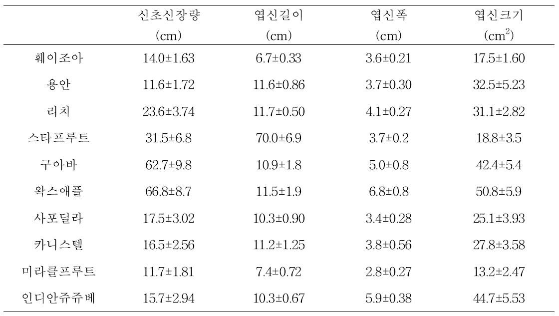 유망 열대/아열대 과수류 수체 생육 특성